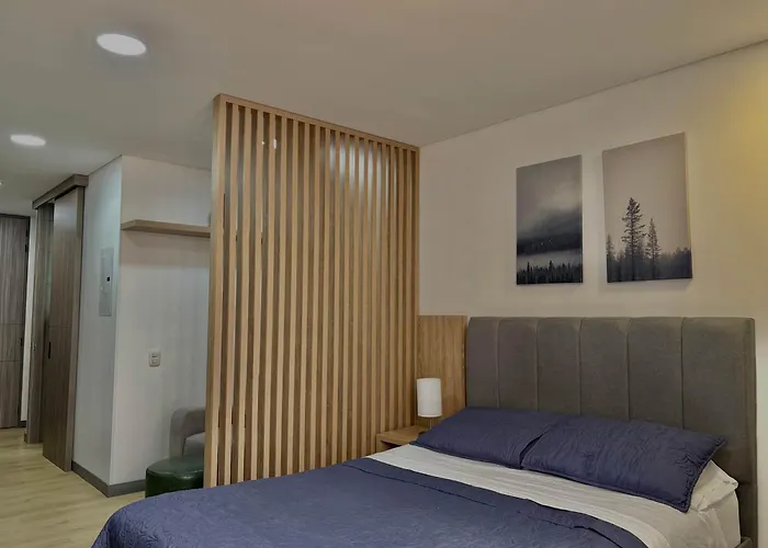 Elegant Loft Near Movistar Arena 20-51